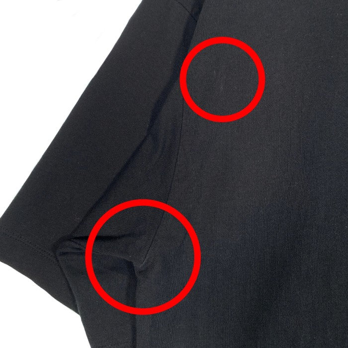 THE NORTH FACE ノースフェイス スフィア店舗限定 ロゴプリント Tシャツ ブラック NT12398S Size XL 福生店