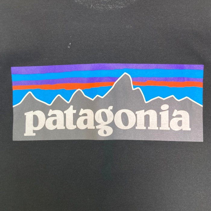 Patagonia パタゴニア 38518 P-6 レスポンシビリティー ロンT ブラック sizeM 瑞穂店
