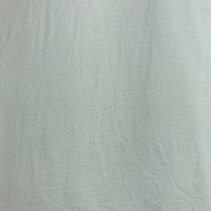 SUPREME シュプリーム AL Green Tee  アル グリーン 22SS Tシャツ ホワイト sizeM 瑞穂店