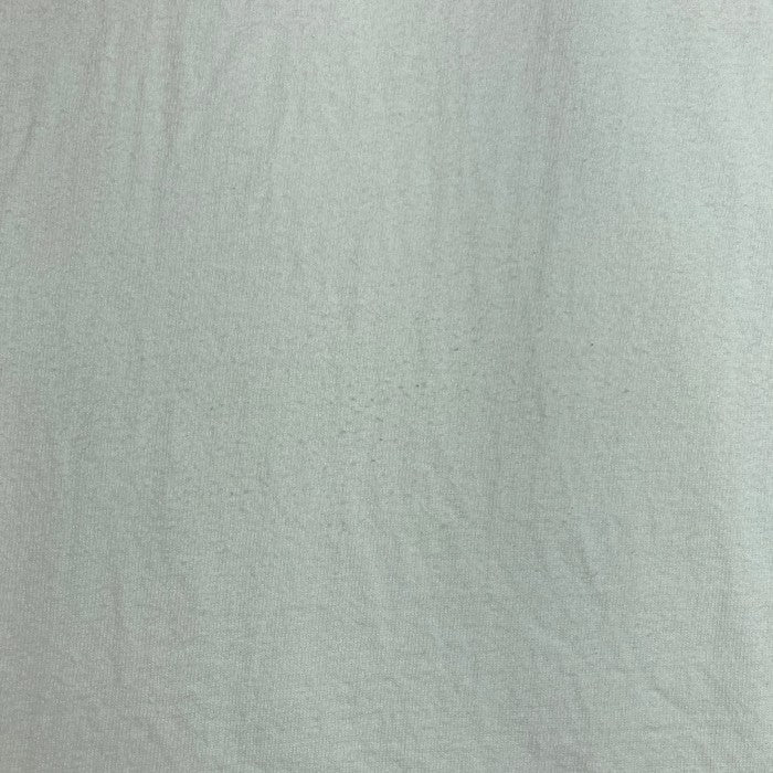 SUPREME シュプリーム AL Green Tee アル グリーン 22SS Tシャツ ホワイト sizeM 瑞穂店