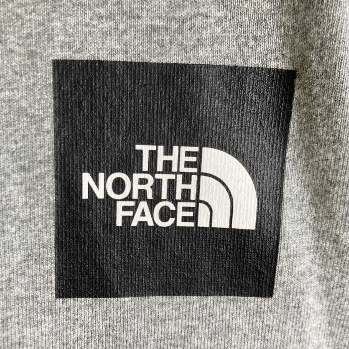 THE NORTH FACE ノースフェイス NT32042  ロンT グレー sizeL 瑞穂店