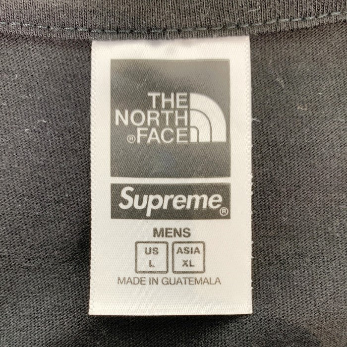 SUPREME シュプリーム 22SS THE NORTH FACE ノースフェイス Bandana Tee バンダナ Tシャツ ブラック Size L 福生店